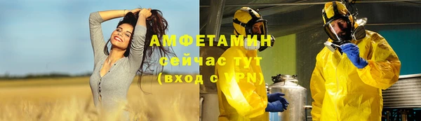 шишки Алексеевка